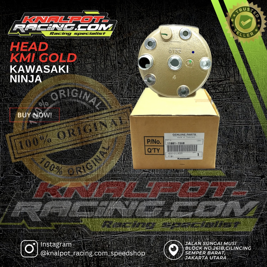 HEAD KAWASAKI NINJA GOLD KMI